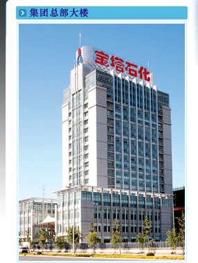 宁夏宝塔石化集团有限公司