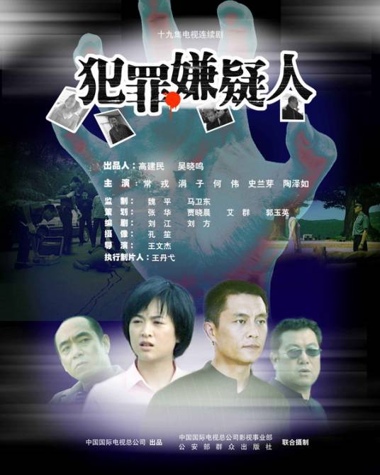 犯罪嫌疑人（2005年陶泽如主演电视剧）