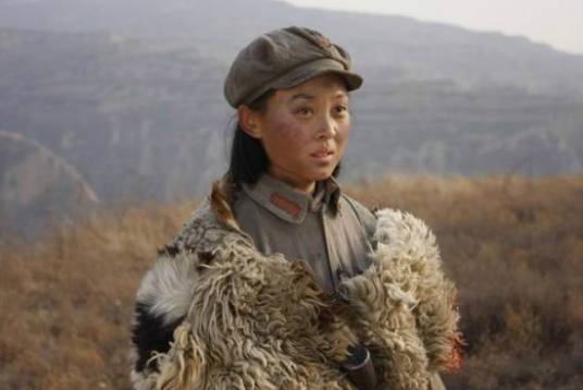 郑芳（电视剧《新亮剑》中的人物）