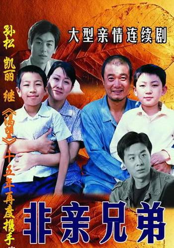 非亲兄弟（2006年张友龄执导的电视剧）