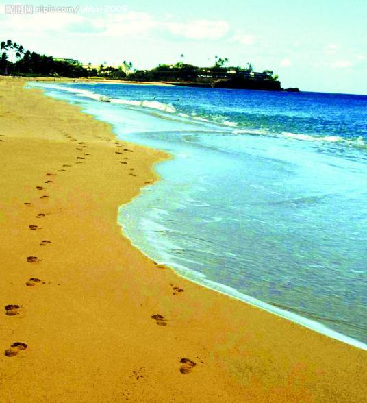 金沙滩（大连金沙滩）