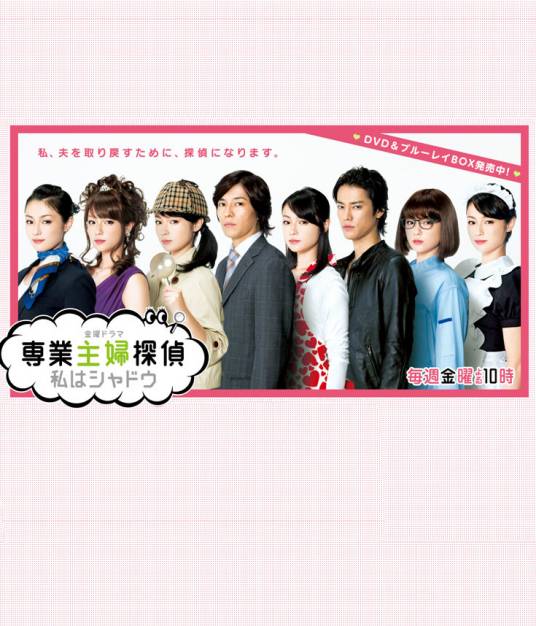 专业主妇侦探