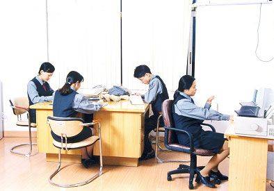 会计报表审计（会计学术语）