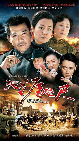 天涯咫尺（2008年赖建国执导电视剧）