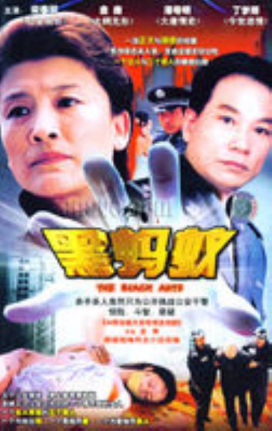 黑蚂蚁（2006年王坪执导电视剧）