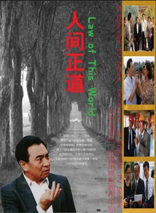 人间正道（1998年潘小扬执导的电视剧）