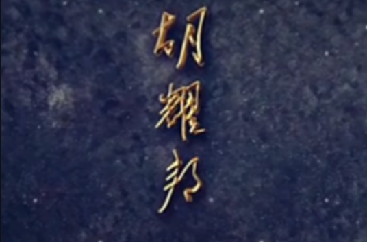 胡耀邦（纪念胡耀邦同志诞辰100周年的电视文献片）