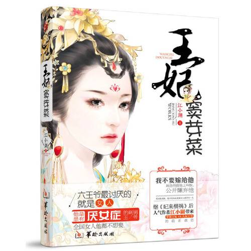 王妃窦芽菜（2015年华龄出版社出版的图书）