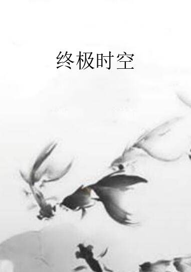 终极时空（娇懒如猫and懒猫创作的网络小说）