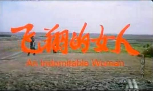 飞翔的女人（中国2004年于向远执导剧情片）