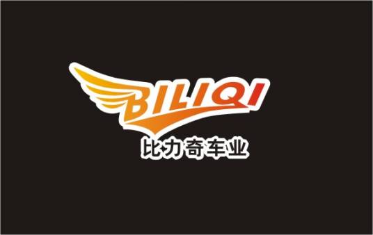 宁波比力奇车业有限公司