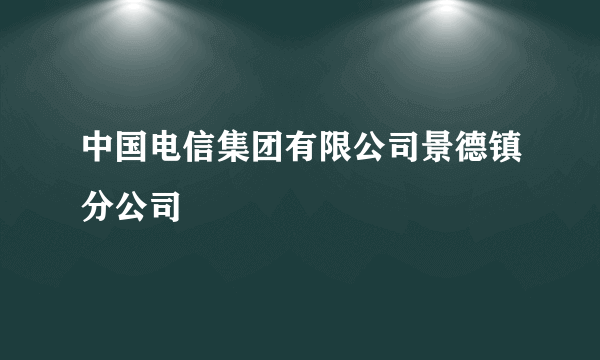 中国电信集团有限公司景德镇分公司