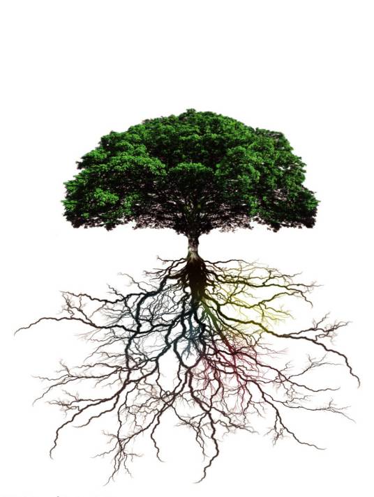 根（1979年生活·读书·新知三联书店出版的图书）