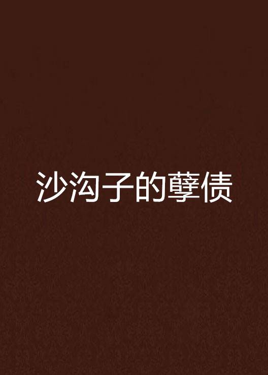 沙沟子的孽债