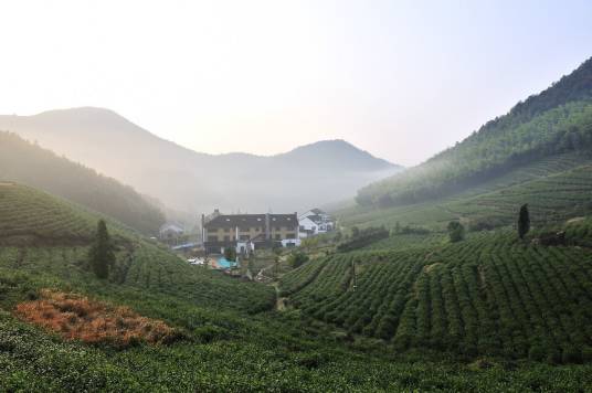 莫干山里法国山居