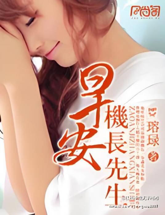 早安，机长先生（小说）