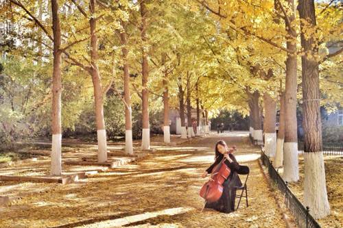 不想和你说再见（歌曲）