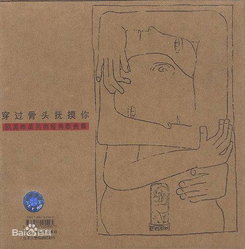 穿过骨头抚摸你（江西文化音像出版社出版的图书）