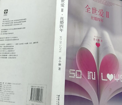 全世爱II：丝婚四年