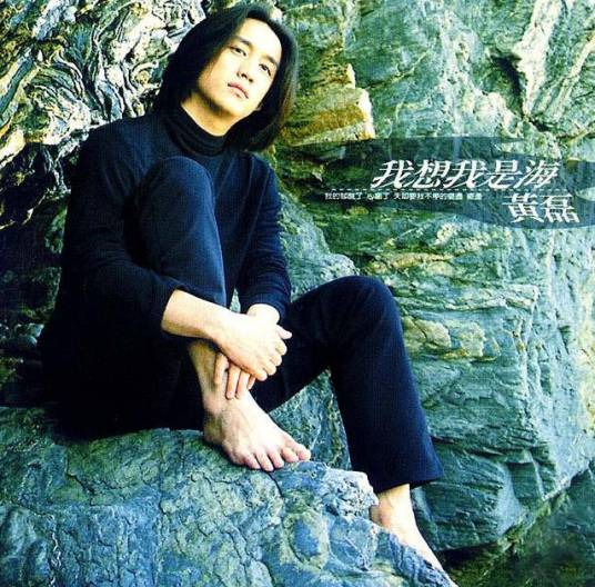 我想我是海（1998年黄磊演唱的歌曲）
