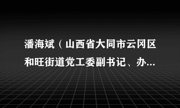 潘海斌（山西省大同市云冈区和旺街道党工委副书记、办事处主任，退役军人事务服务站站长）