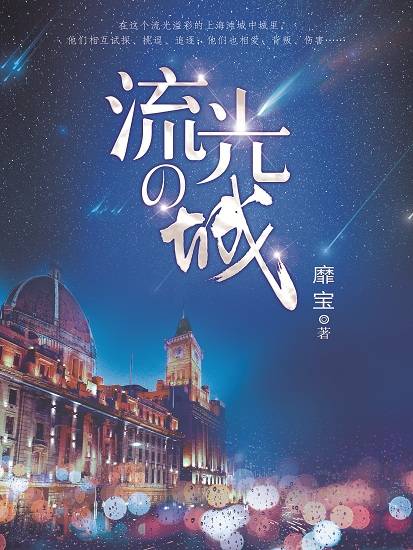流光之城（靡宝创作的现代言情类网络小说）