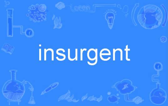 insurgent（英语单词）