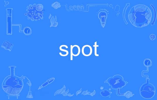 SPOT（英语单词）