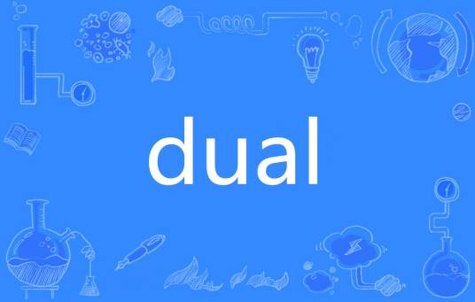 dual（英语单词）