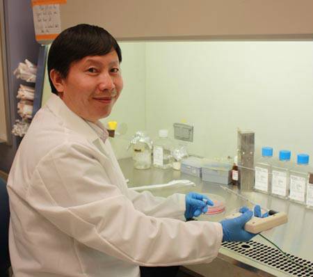 邓宁（暨南大学教授）