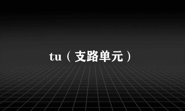 tu（支路单元）