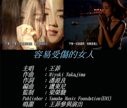 容易受伤的女人（1994年王菲演唱的普通话歌曲）