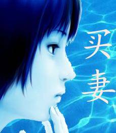 农村家庭暴力长篇《买妻》