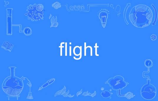 flight（英语单词）
