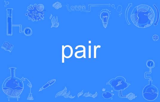 pair（英语单词）