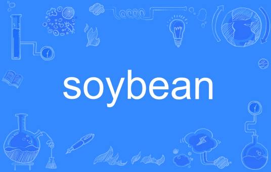 soybean