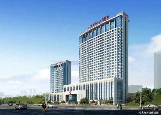 宜昌市中心人民医院