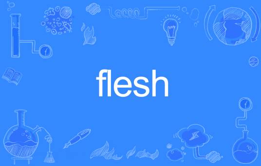 Flesh（英文单词）