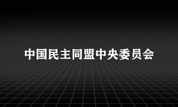 中国民主同盟中央委员会