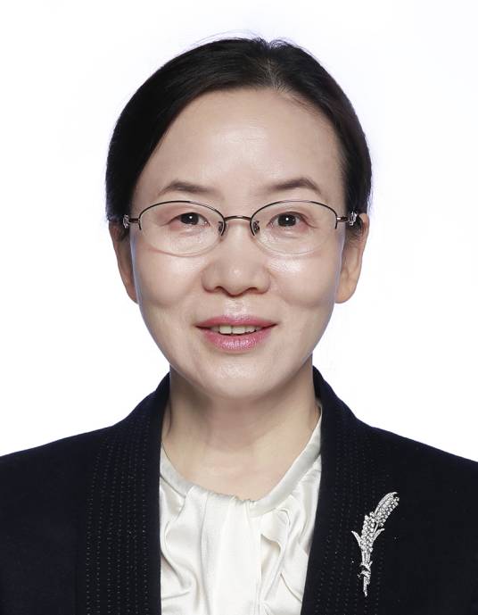 杨秀清（中国政法大学民商经济法学院党委书记）