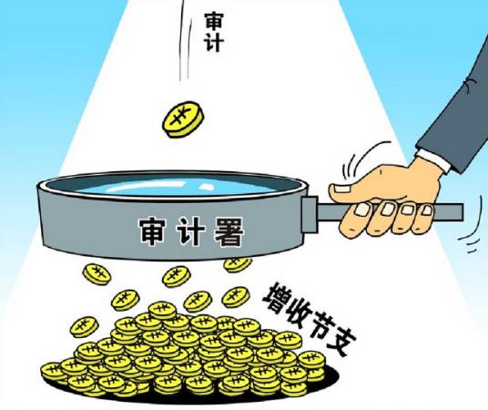 审计（独立性的经济监督活动）