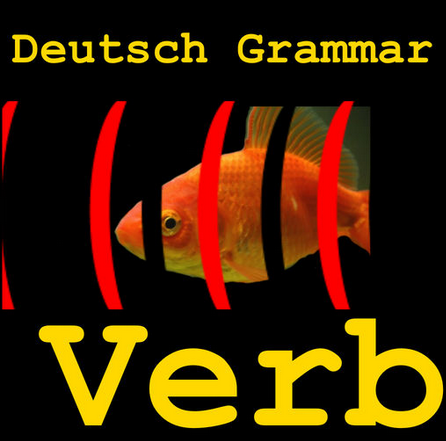 verb（动词）