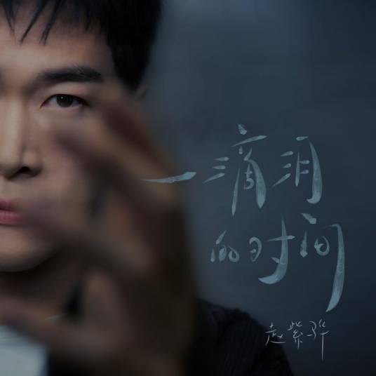 一滴泪的时间（赵紫骅演唱的歌曲）