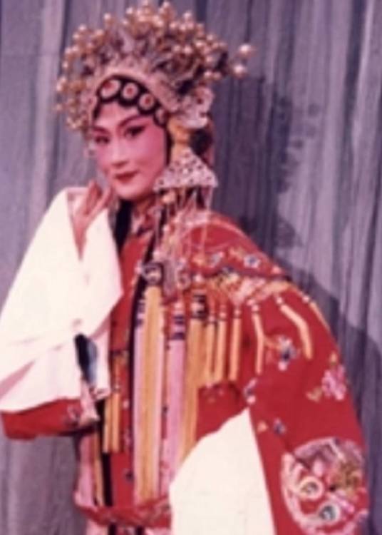 刘光霞（安徽省黄梅戏剧院国家二级演员）