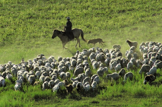 草原牧歌（《草原上的人们》主题歌）