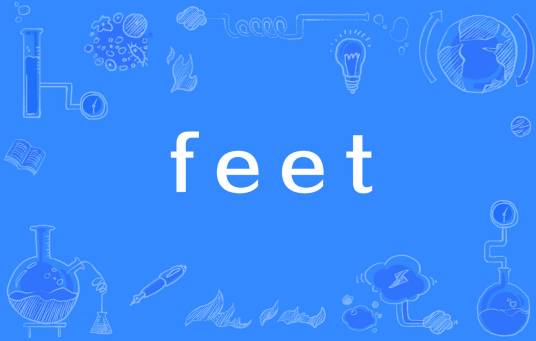 feet（英语词汇）