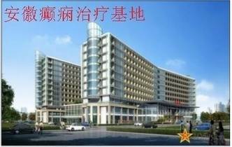 安徽省癫痫治疗基地