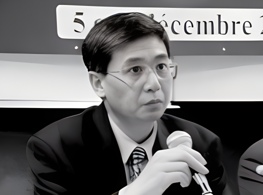 王晓辉（北京师范大学教授）