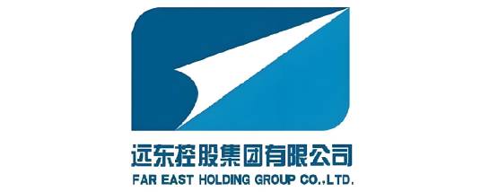 远东控股集团有限公司
