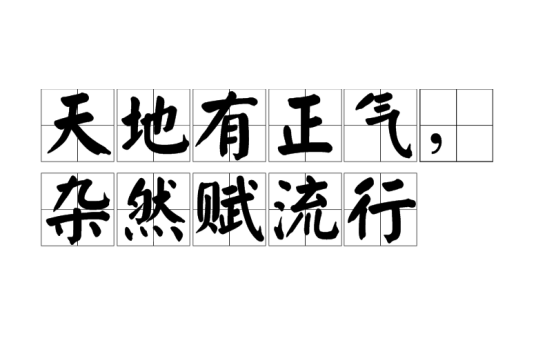 天地有正气，杂然赋流形